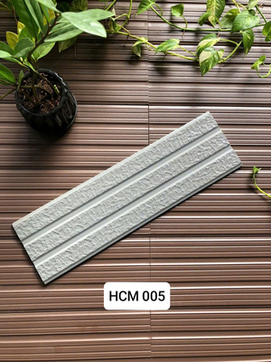 Việt Nhật HCM 005